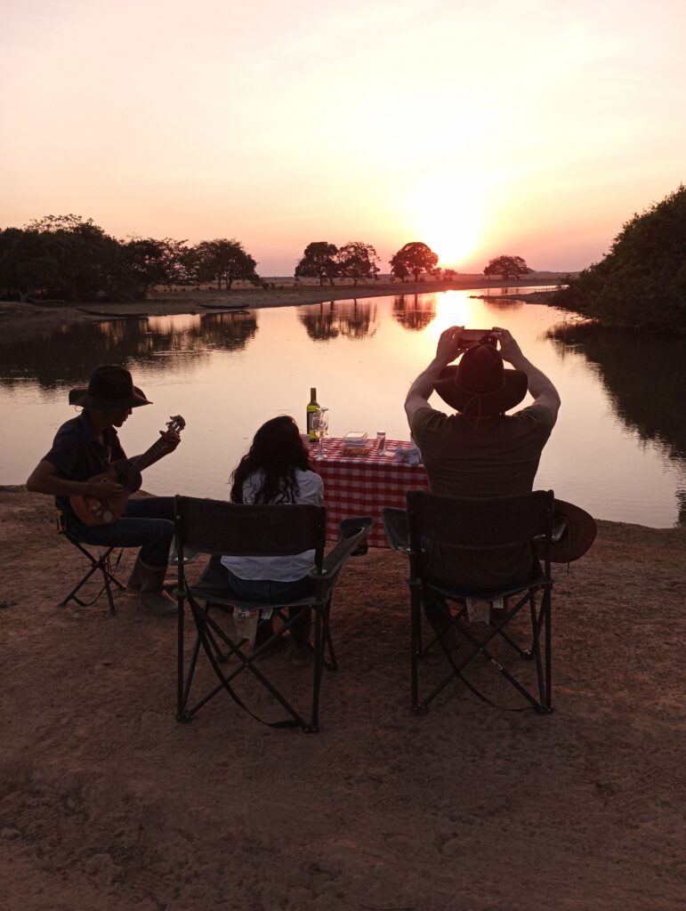 Atardecer safari