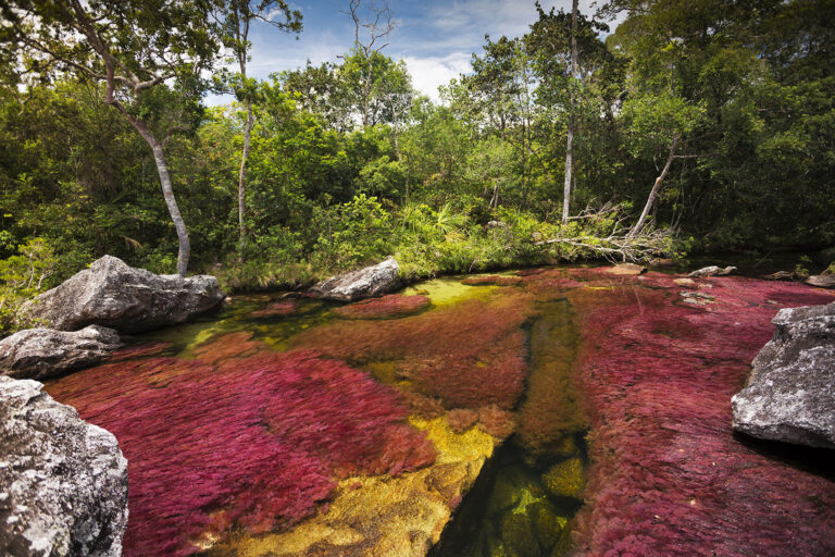 Lugares para visitar en Caño Cristales