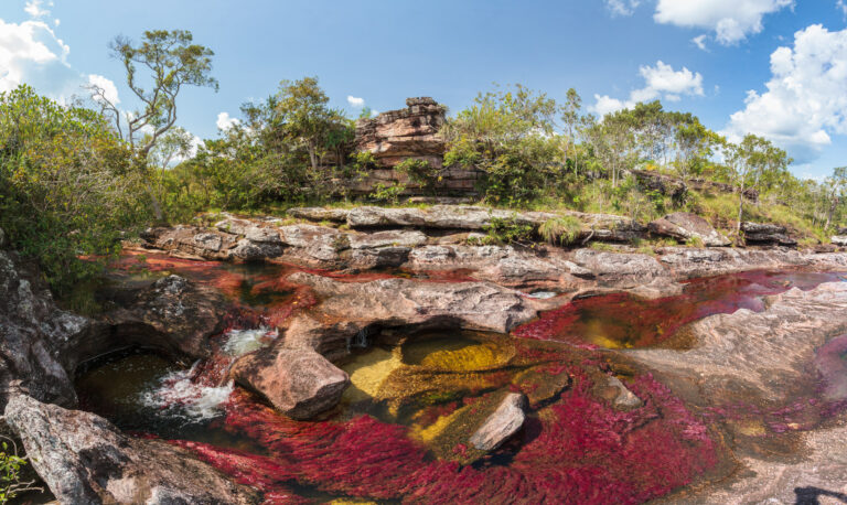 Recomendaciones para visitar Caño Cristales y preguntas frecuentes
