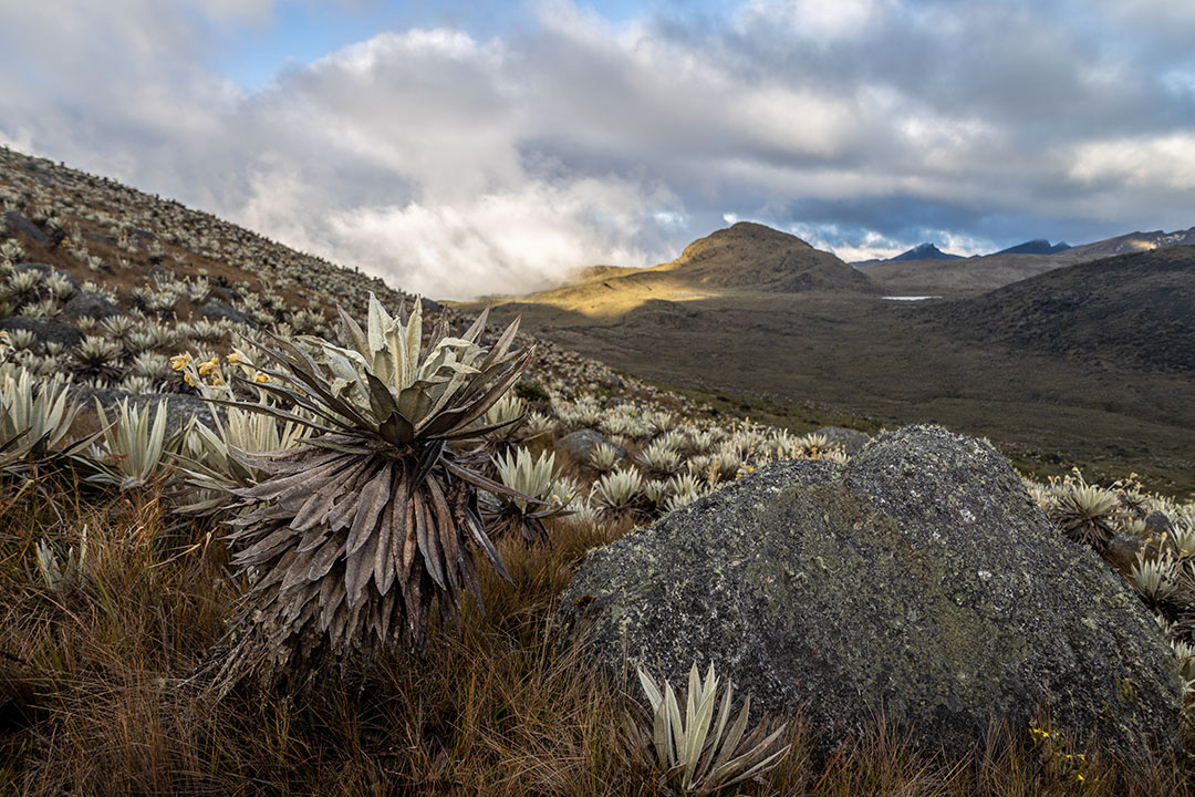 IMG_0602 – DANIEL ANDRÉS PORRAS (1) copia