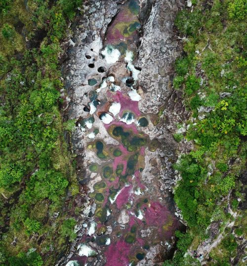 Caño Cristales