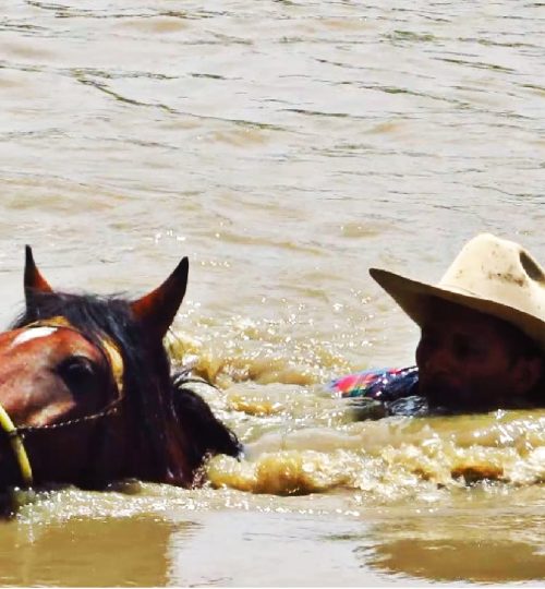 Llanos y Safari